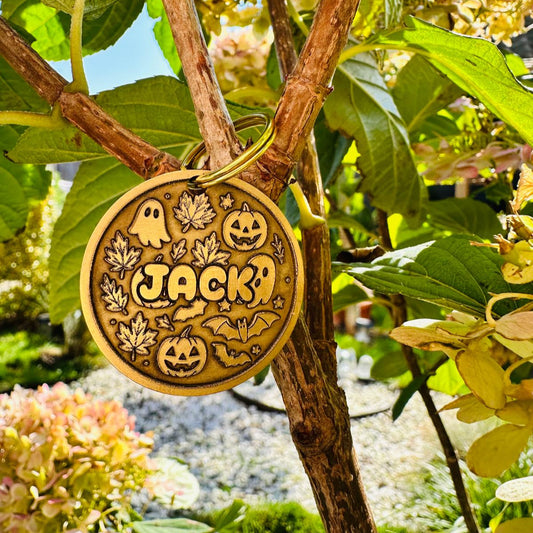 Brass halloween pet id tag with Halloween designs hanging on a tree branch.