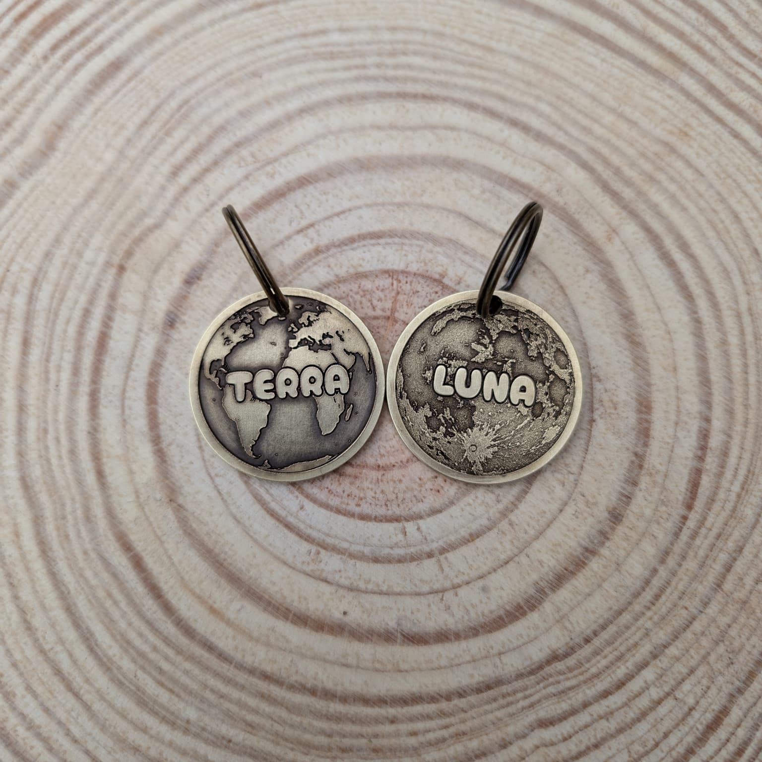Pair of Brass Pet ID Tags with 'Terra' and 'Luna' inscriptions on a wooden surface