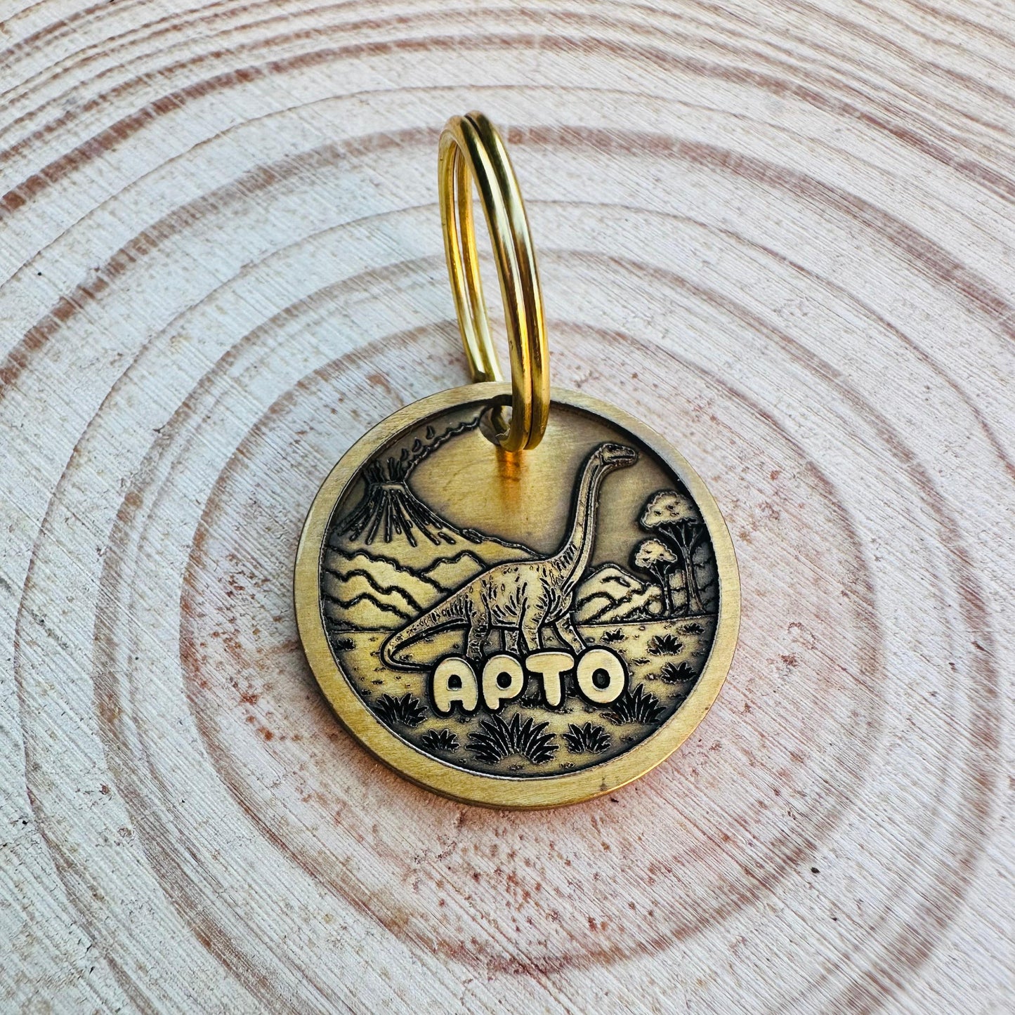 Brass pet id tag with a deep engraved dinosaur design and pet name on a wooden surface