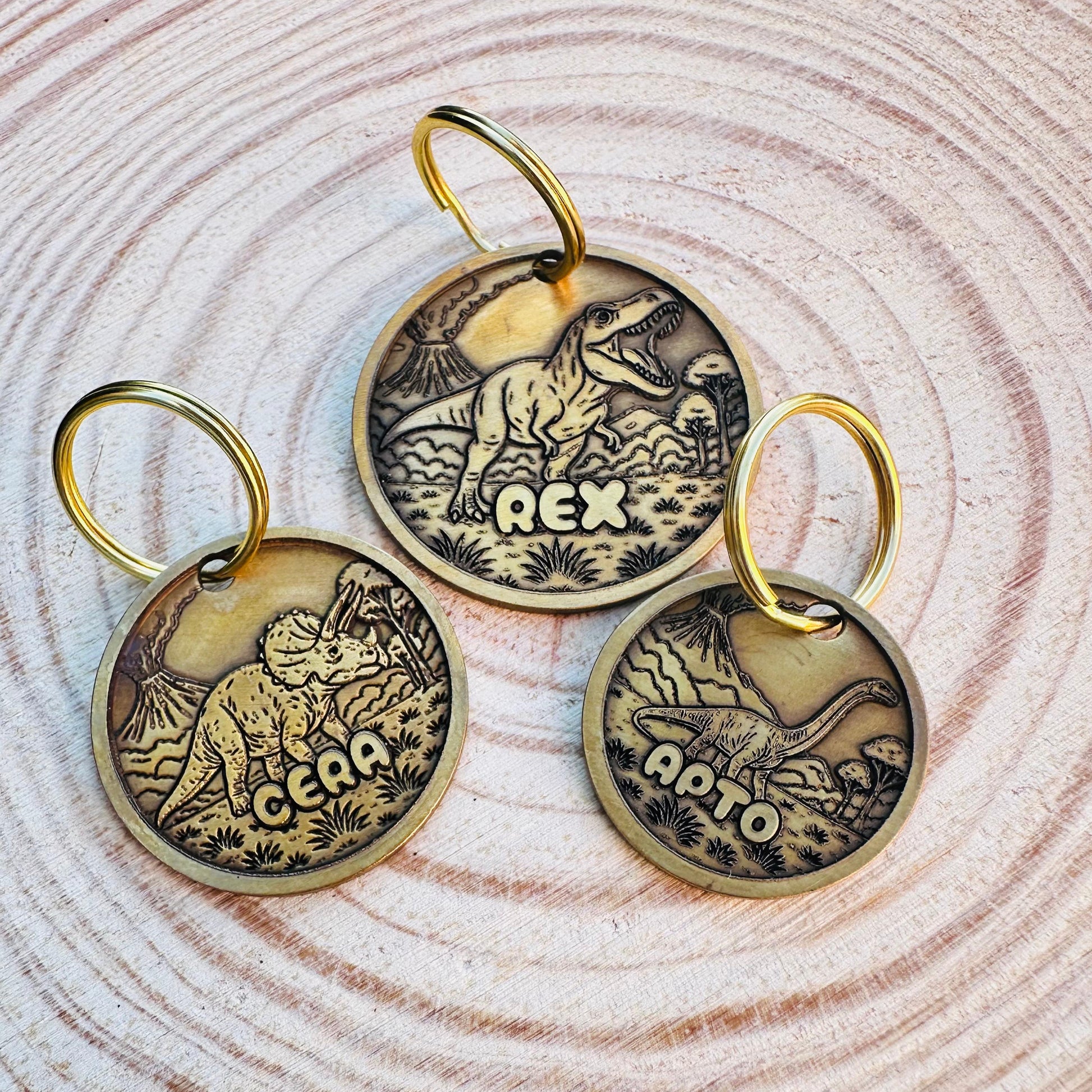 Three brass deep engraved tags with dinosaur designs and pet names engraved on them laying on top of a wooden surface